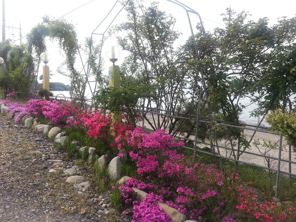 Yongdu Beach Pension Boryeong Exterior photo